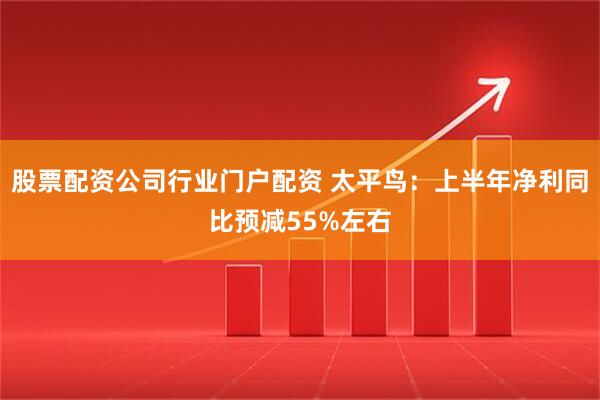 股票配资公司行业门户配资 太平鸟：上半年净利同比预减55%左右